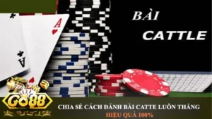 Chiến Thuật Tối Ưu Catte Tại GO88 Giúp Dân Cá Độ Ghi Điểm Từng Ván