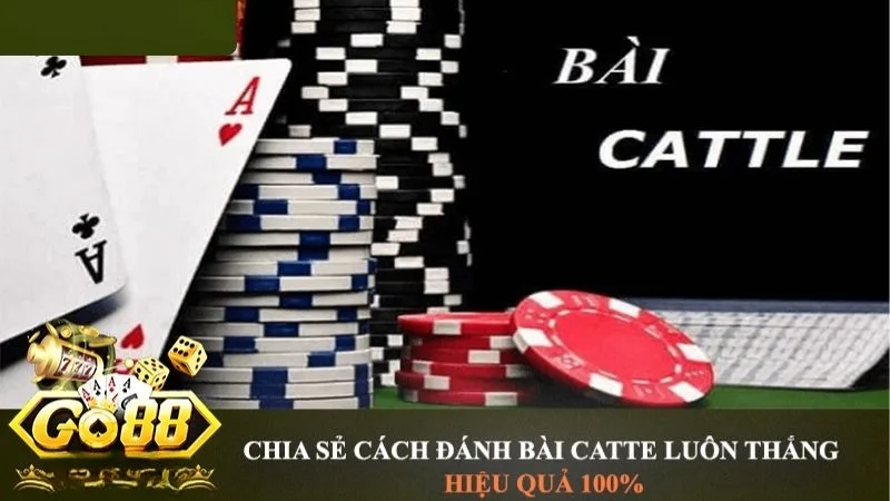 Chiến Thuật Tối Ưu Catte Tại GO88 Giúp Dân Cá Độ Ghi Điểm Từng Ván