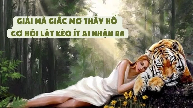 Giải Mã Giấc Mơ Thấy Hổ - Cơ Hội Lật Kèo Ít Ai Nhận Ra