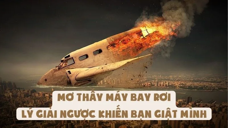 Mơ Thấy Máy Bay Rơi | Lý Giải Ngược Khiến Bạn Giật Mình