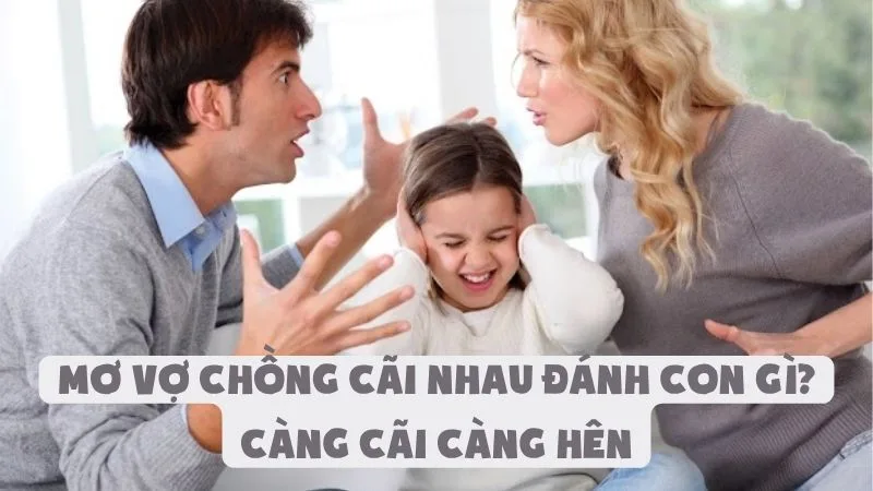 Mơ Vợ Chồng Cãi Nhau Đánh Con Gì? Càng Cãi Càng Hên