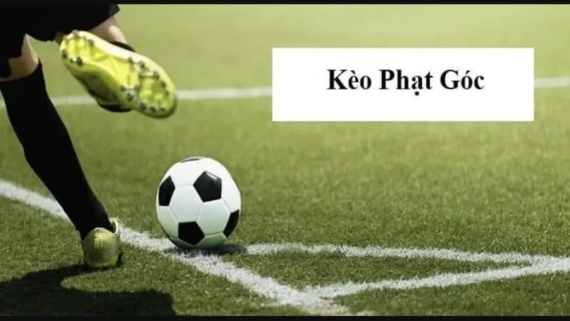 Tại sao nên chọn cược phạt góc tại Kubet?