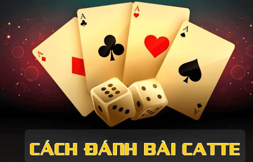 Tầm quan trọng của việc bắt bài đối thủ trong Catte